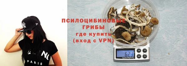 мдпв Богородск