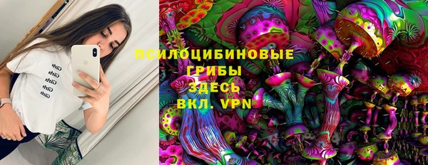 мдпв Богородск