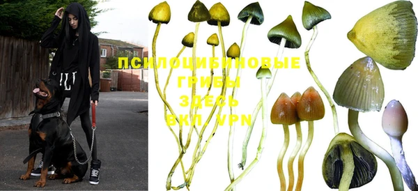 мдпв Богородск