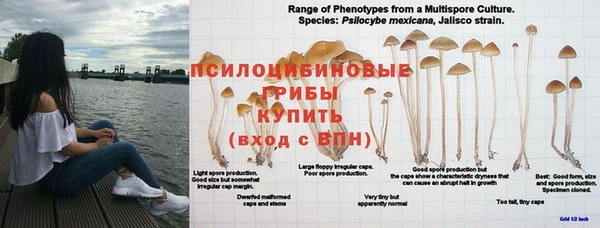 кокаин перу Богородицк