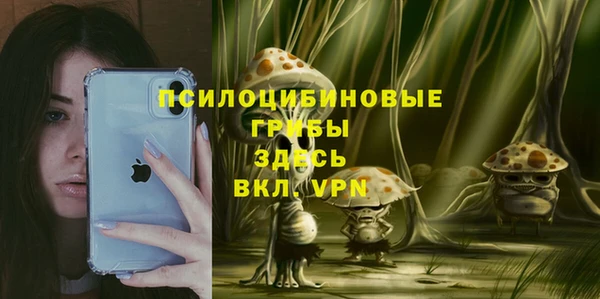твердый Белокуриха