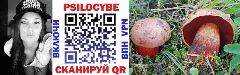 Псилоцибиновые грибы мухоморы  мега tor  Гай 