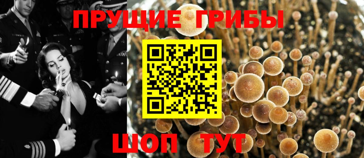 Галлюциногенные грибы ЛСД Гай