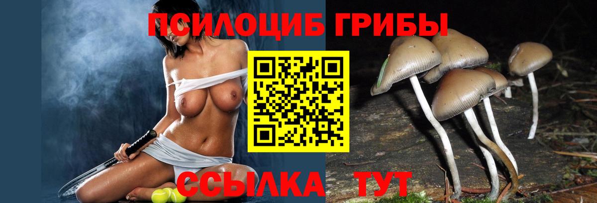 Гай  Галлюциногенные грибы GOLDEN TEACHER  Вход с VPN 